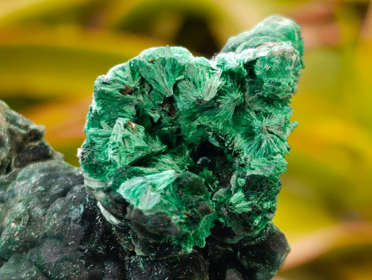 Natural Silky Malachite Specimens x 6 From Kasompe, Congo - Toprock Gemstones and Minerals 