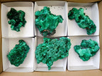 Natural Silky Malachite Specimens x 6 From Kasompe, Congo - Toprock Gemstones and Minerals 