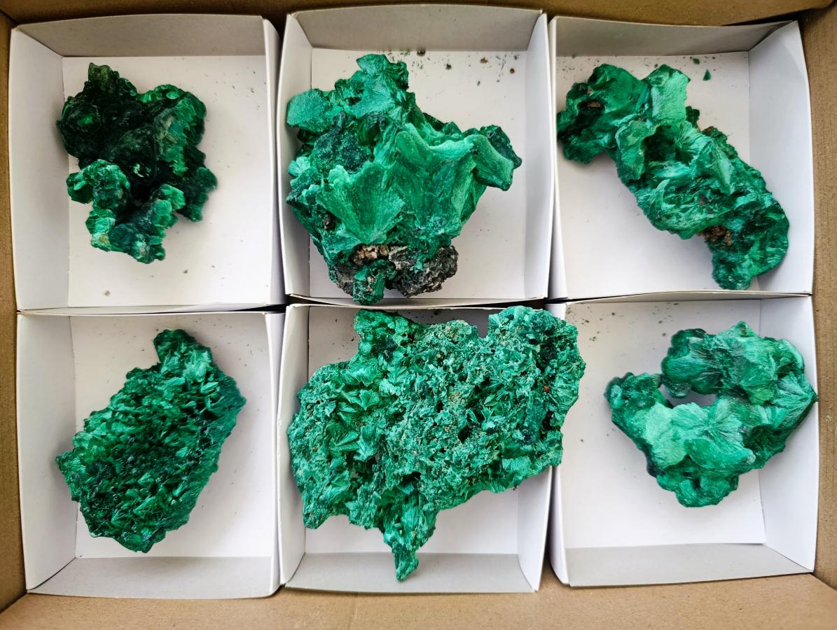 Natural Silky Malachite Specimens x 6 From Kasompe, Congo - Toprock Gemstones and Minerals 