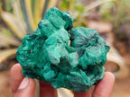 Natural Silky Malachite Specimens x 6 From Kasompe, Congo - Toprock Gemstones and Minerals 