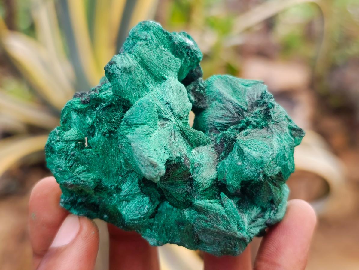 Natural Silky Malachite Specimens x 6 From Kasompe, Congo - Toprock Gemstones and Minerals 