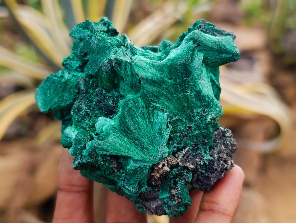 Natural Silky Malachite Specimens x 6 From Kasompe, Congo - Toprock Gemstones and Minerals 