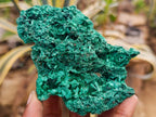Natural Silky Malachite Specimens x 6 From Kasompe, Congo - Toprock Gemstones and Minerals 