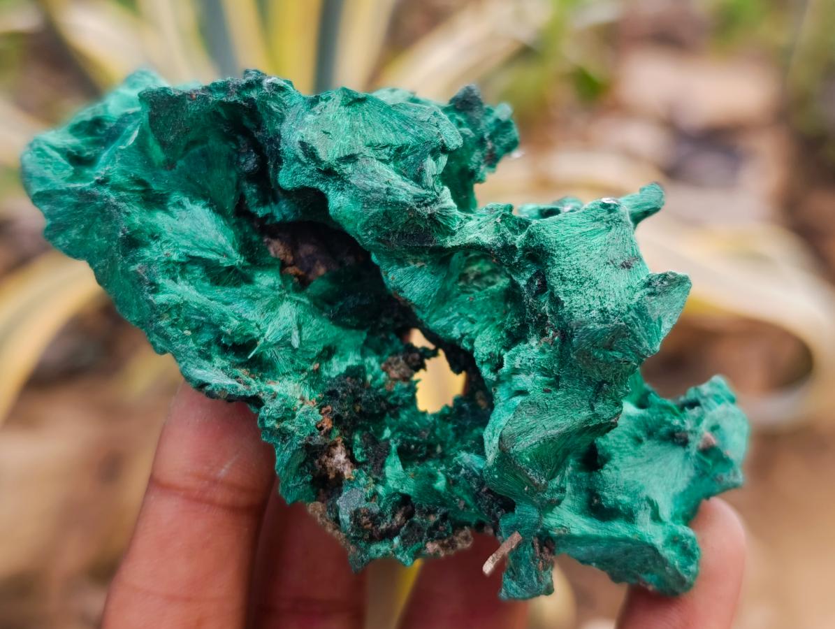 Natural Silky Malachite Specimens x 6 From Kasompe, Congo - Toprock Gemstones and Minerals 