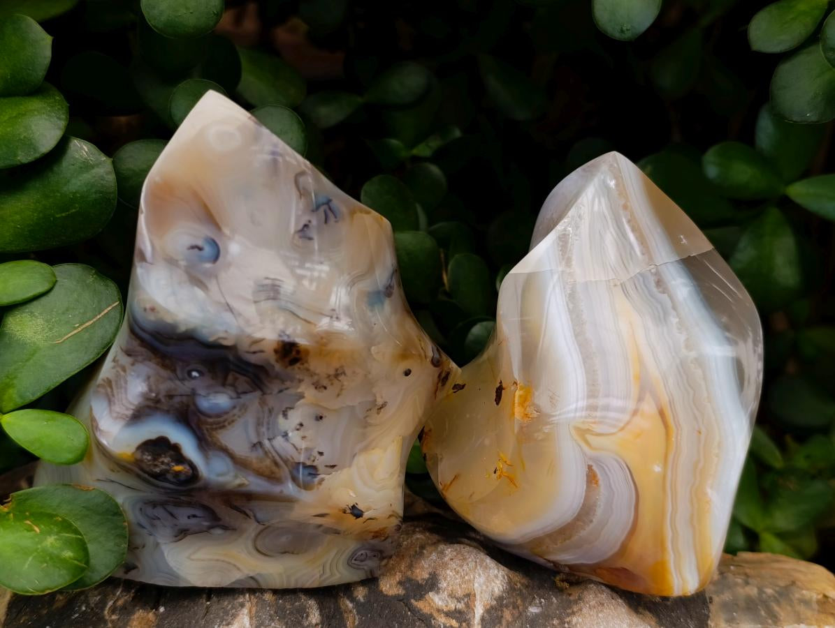 Polished Banded Agate Flames x 6 From Madagascar - Toprock Gemstones and Minerals 