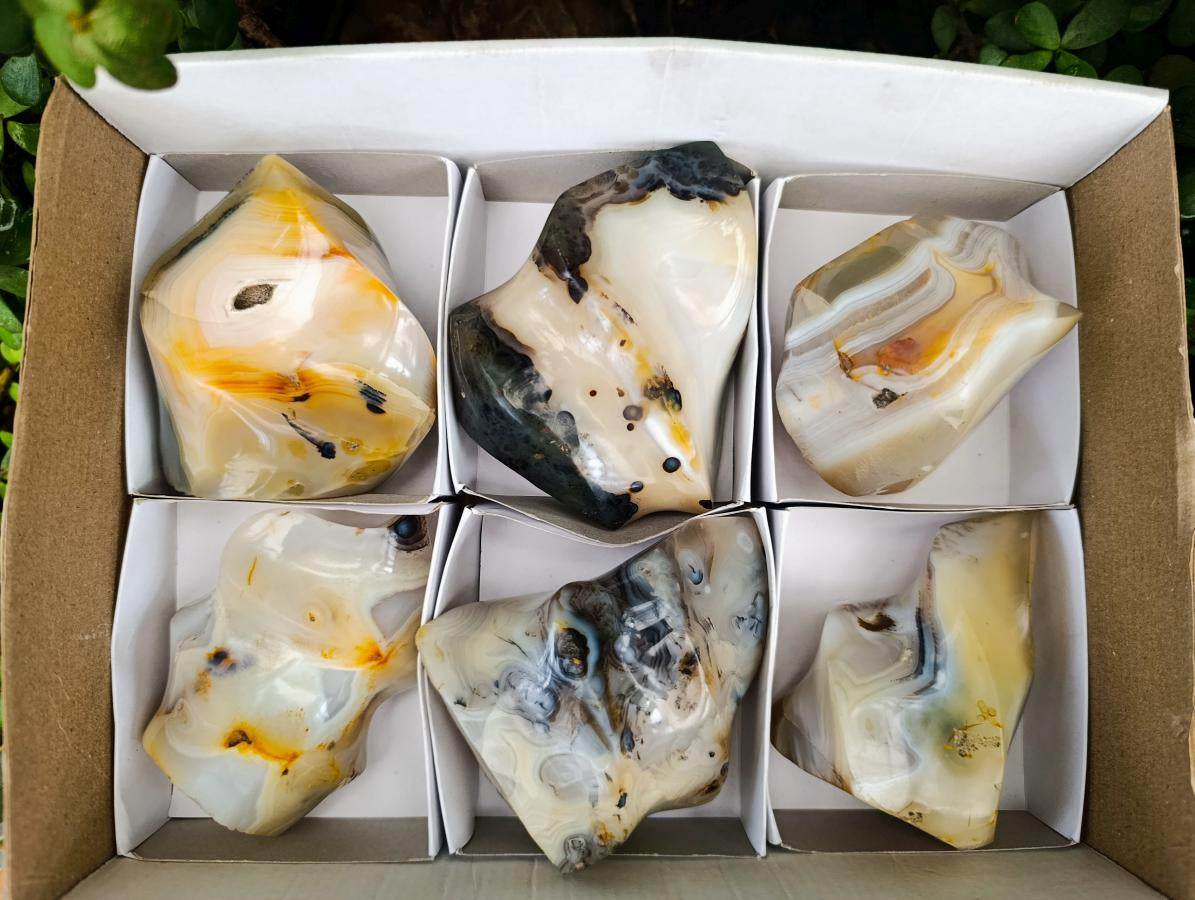 Polished Banded Agate Flames x 6 From Madagascar - Toprock Gemstones and Minerals 