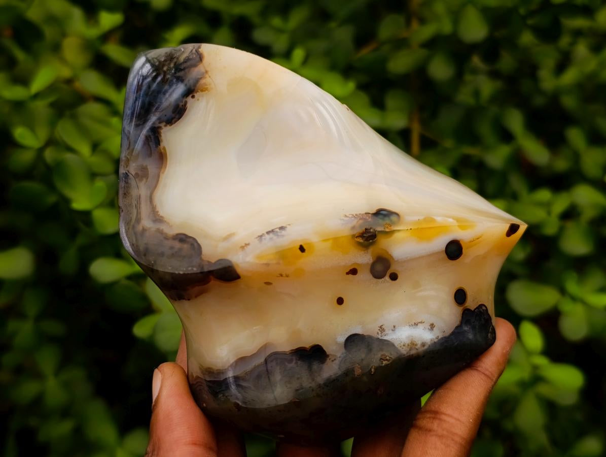 Polished Banded Agate Flames x 6 From Madagascar - Toprock Gemstones and Minerals 