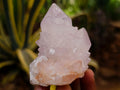 Natural Cactus Flower Spirit Amethyst Single Crystals x 12 From South Africa - Toprock Gemstones and Minerals 