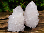 Natural Cactus Flower Spirit Amethyst Single Crystals x 12 From South Africa - Toprock Gemstones and Minerals 
