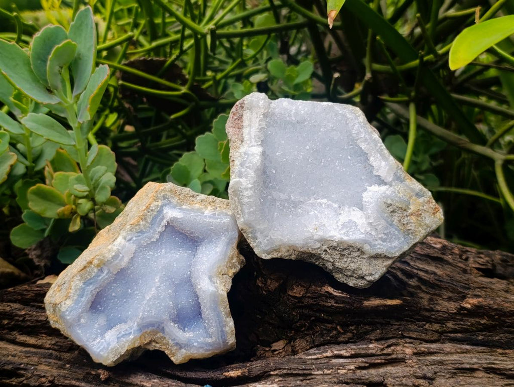 Natural Blue Lace Agate Geode Specimens x 12 From Nsanje, Malawi - Toprock Gemstones and Minerals 