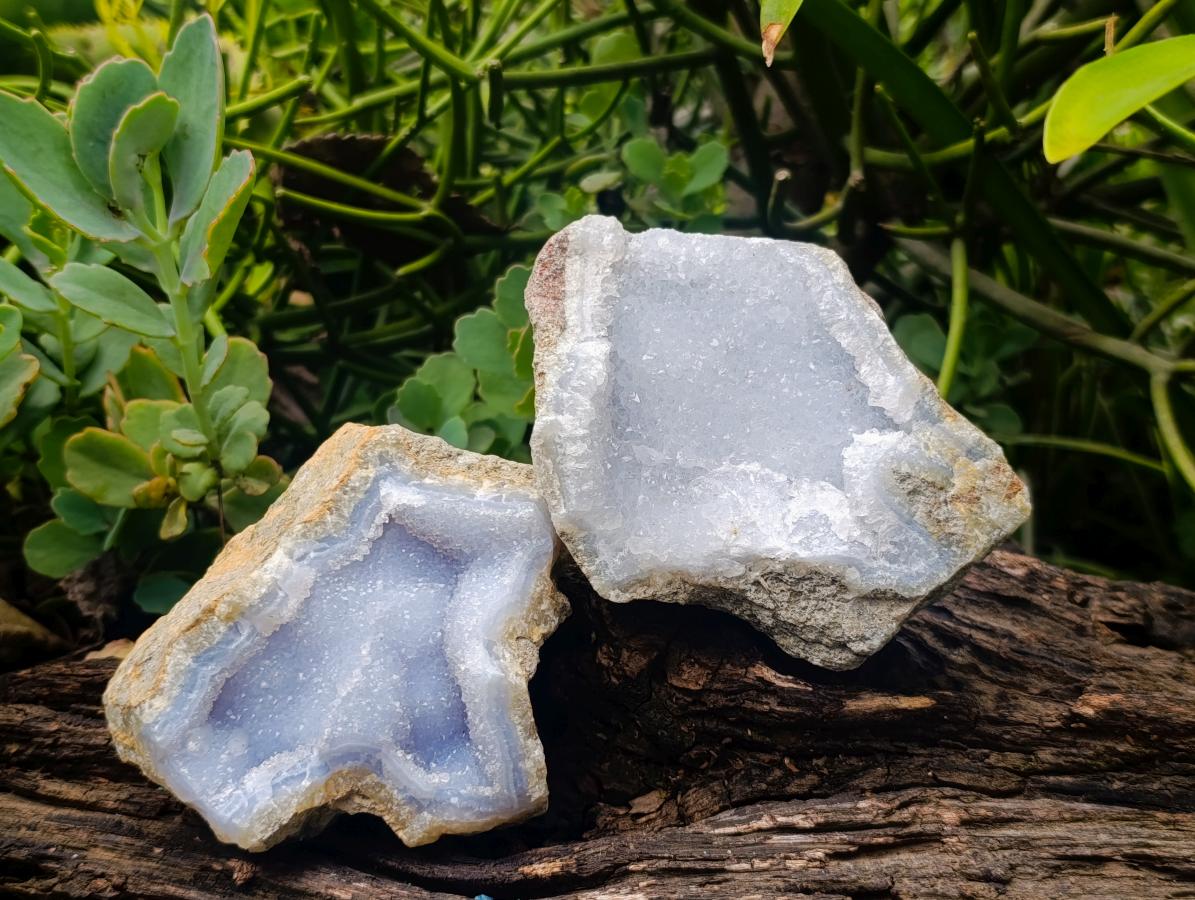 Natural Blue Lace Agate Geode Specimens x 12 From Nsanje, Malawi - Toprock Gemstones and Minerals 