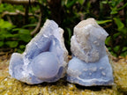 Natural Blue Lace Agate Geode Specimens x 12 From Nsanje, Malawi - Toprock Gemstones and Minerals 