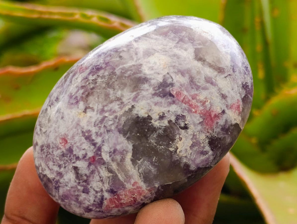 Polished Lepidolite with Pink Rubellite Palm Stones x 24 From Ambatondrazaka, Madagascar - Toprock Gemstones and Minerals 