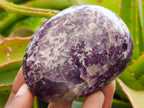 Polished Lepidolite with Pink Rubellite Palm Stones x 24 From Ambatondrazaka, Madagascar - Toprock Gemstones and Minerals 