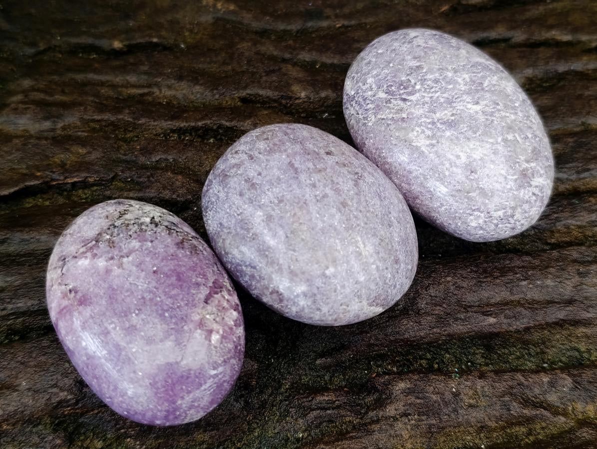 Polished Lepidolite with Pink Rubellite Palm Stones x 24 From Ambatondrazaka, Madagascar - Toprock Gemstones and Minerals 