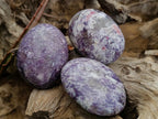 Polished Lepidolite with Pink Rubellite Palm Stones x 24 From Ambatondrazaka, Madagascar - Toprock Gemstones and Minerals 