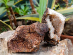Natural Small Agate Amethyst Geodes x 12 From Zululand, South Africa - Toprock Gemstones and Minerals 