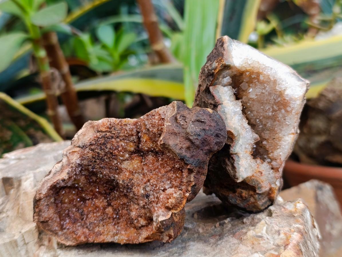 Natural Small Agate Amethyst Geodes x 12 From Zululand, South Africa - Toprock Gemstones and Minerals 