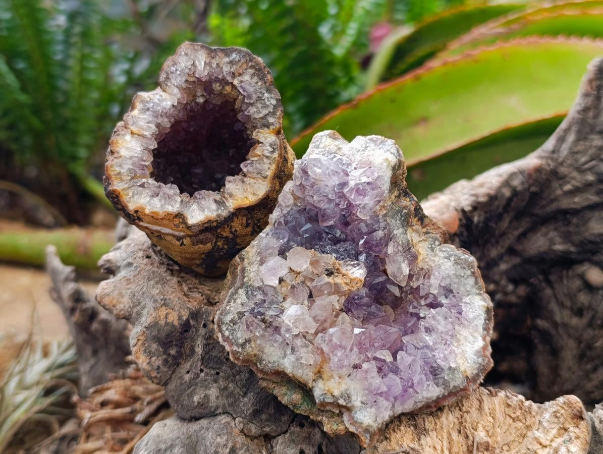 Natural Small Agate Amethyst Geodes x 12 From Zululand, South Africa - Toprock Gemstones and Minerals 