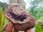 Natural Small Agate Amethyst Geodes x 12 From Zululand, South Africa - Toprock Gemstones and Minerals 