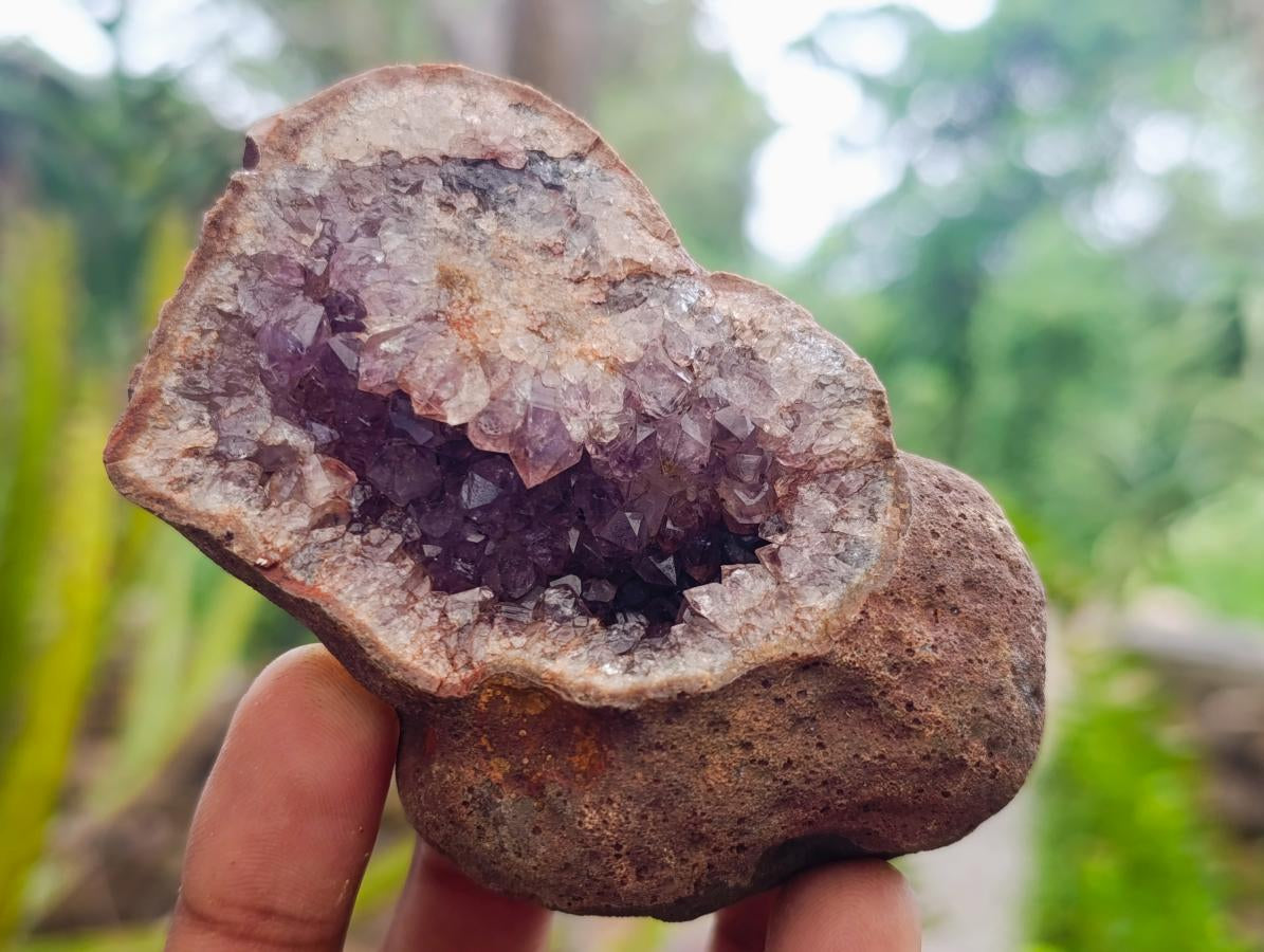 Natural Small Agate Amethyst Geodes x 12 From Zululand, South Africa - Toprock Gemstones and Minerals 