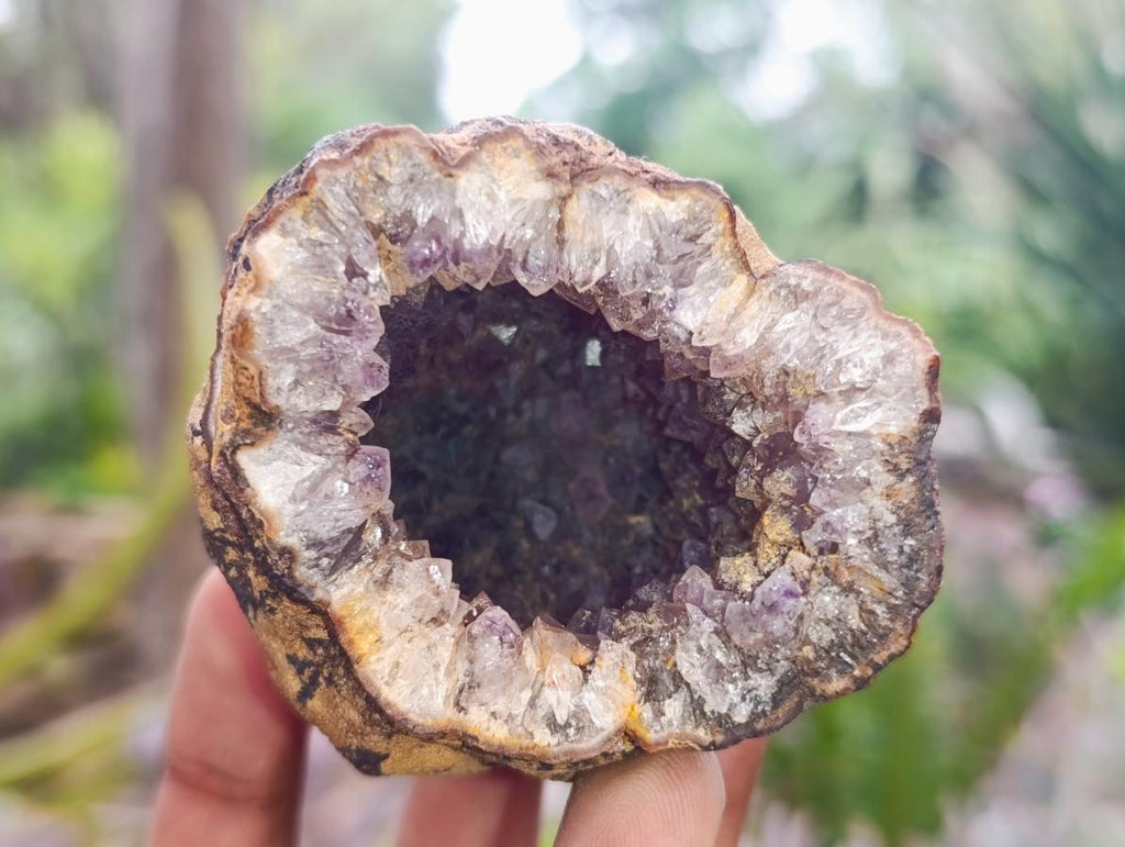 Natural Small Agate Amethyst Geodes x 12 From Zululand, South Africa - Toprock Gemstones and Minerals 