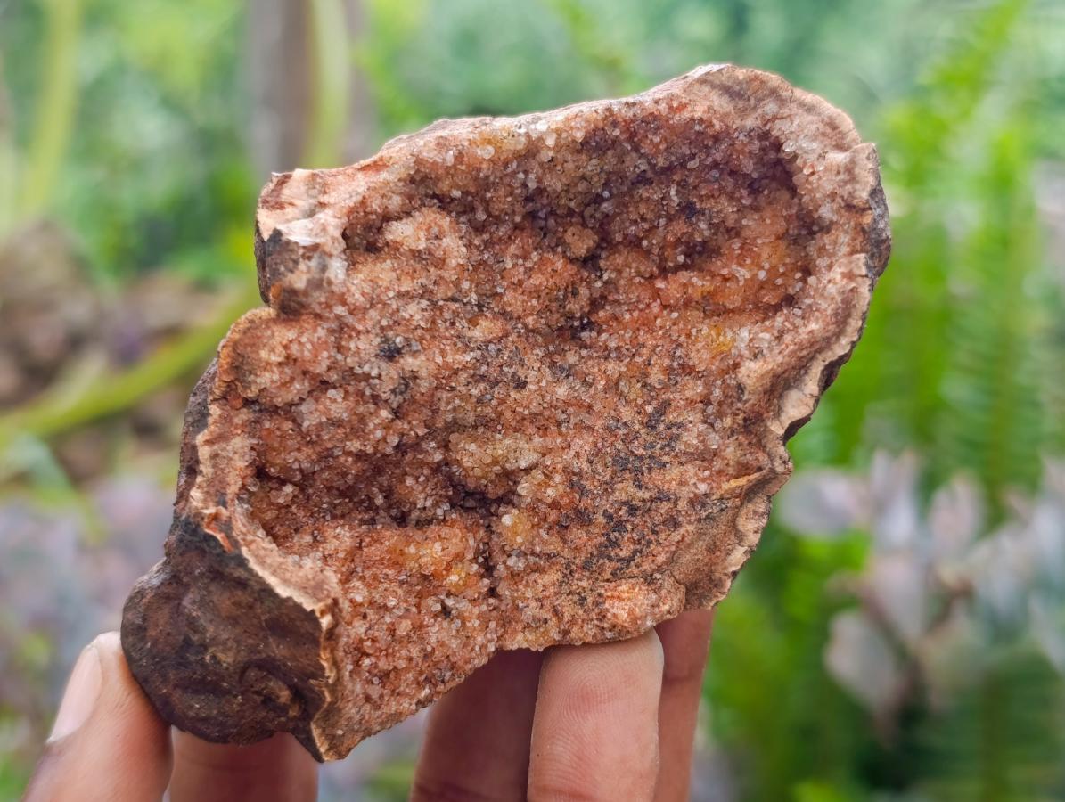 Natural Small Agate Amethyst Geodes x 12 From Zululand, South Africa - Toprock Gemstones and Minerals 