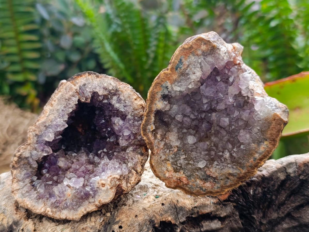 Natural Small Agate Amethyst Geodes x 12 From Zululand, South Africa - Toprock Gemstones and Minerals 