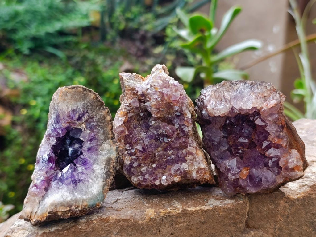Natural Small Agate Amethyst Geodes x 12 From Zululand, South Africa - Toprock Gemstones and Minerals 