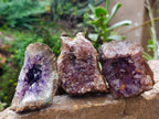 Natural Small Agate Amethyst Geodes x 12 From Zululand, South Africa - Toprock Gemstones and Minerals 