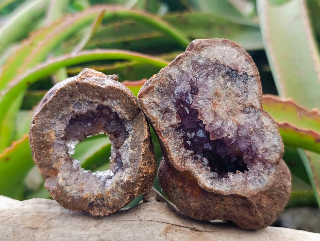 Natural Small Agate Amethyst Geodes x 12 From Zululand, South Africa - Toprock Gemstones and Minerals 