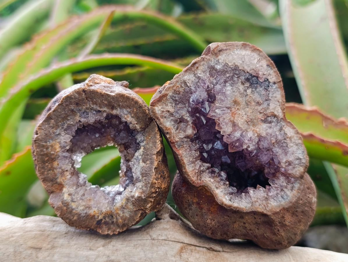 Natural Small Agate Amethyst Geodes x 12 From Zululand, South Africa - Toprock Gemstones and Minerals 