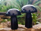 Polished Black Basalt Mushrooms x 6 From Madagascar - Toprock Gemstones and Minerals 