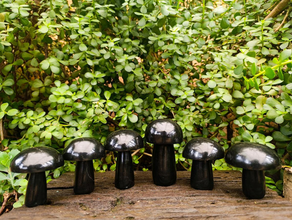 Polished Black Basalt Mushrooms x 6 From Madagascar - Toprock Gemstones and Minerals 