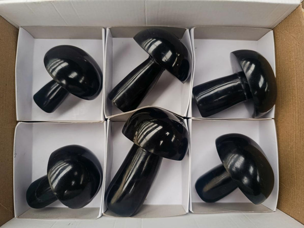 Polished Black Basalt Mushrooms x 6 From Madagascar - Toprock Gemstones and Minerals 