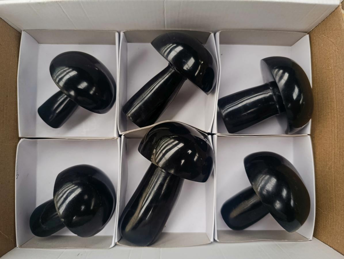 Polished Black Basalt Mushrooms x 6 From Madagascar - Toprock Gemstones and Minerals 