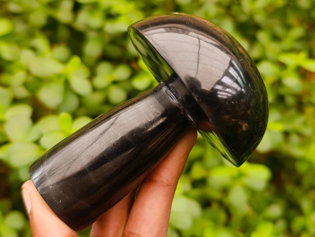 Polished Black Basalt Mushrooms x 6 From Madagascar - Toprock Gemstones and Minerals 