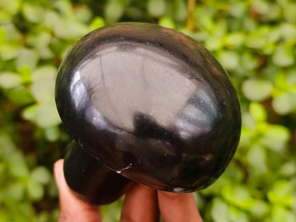 Polished Black Basalt Mushrooms x 6 From Madagascar - Toprock Gemstones and Minerals 