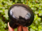 Polished Black Basalt Mushrooms x 6 From Madagascar - Toprock Gemstones and Minerals 