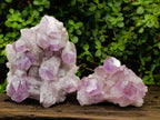 Natural Jacaranda Amethyst Crystal Clusters x 2 From Mumbwa, Zambia - Toprock Gemstones and Minerals 