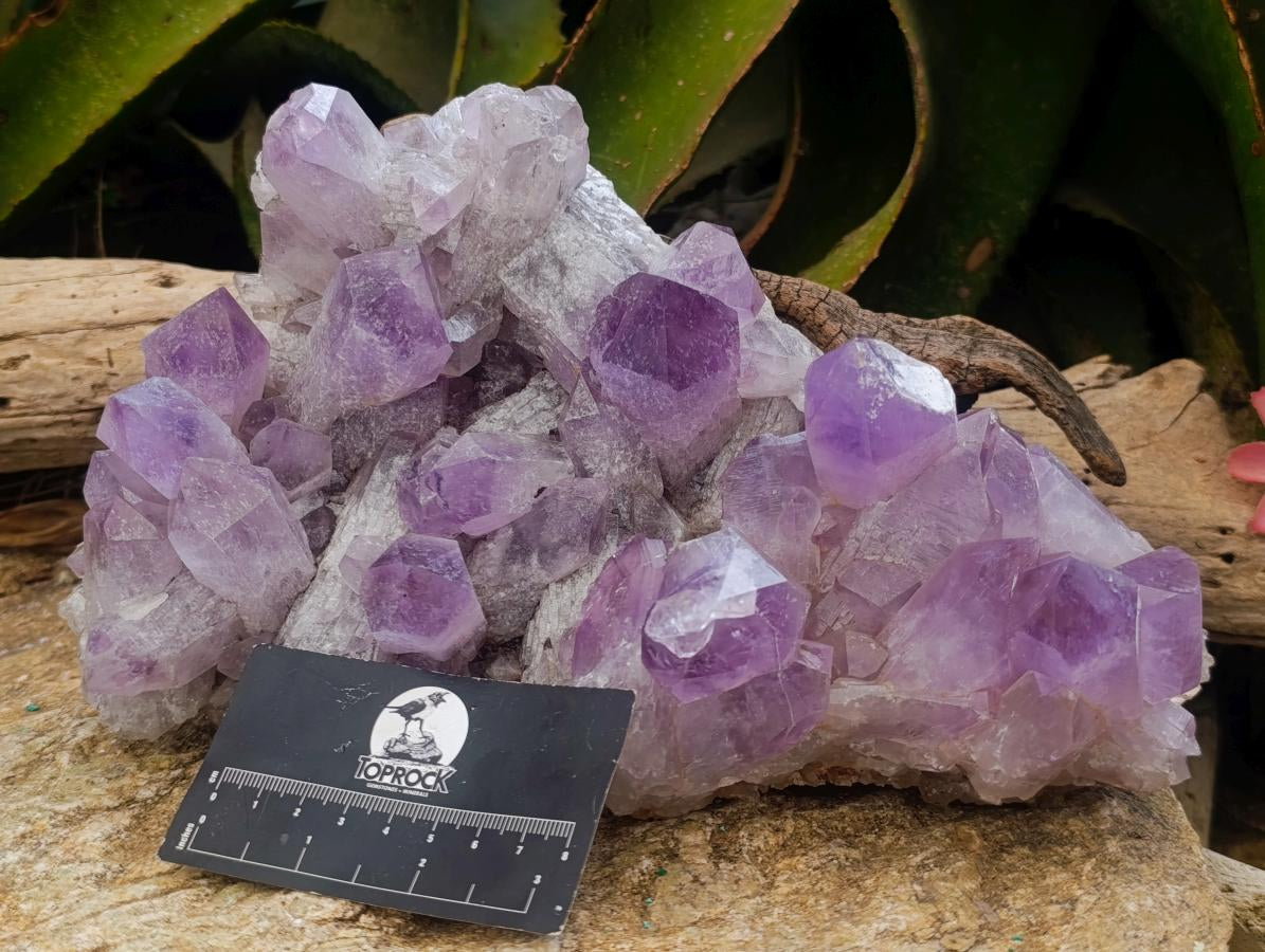 Natural Jacaranda Amethyst Crystal Clusters x 2 From Mumbwa, Zambia - Toprock Gemstones and Minerals 