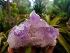 Natural Jacaranda Amethyst Crystal Clusters x 2 From Mumbwa, Zambia - Toprock Gemstones and Minerals 