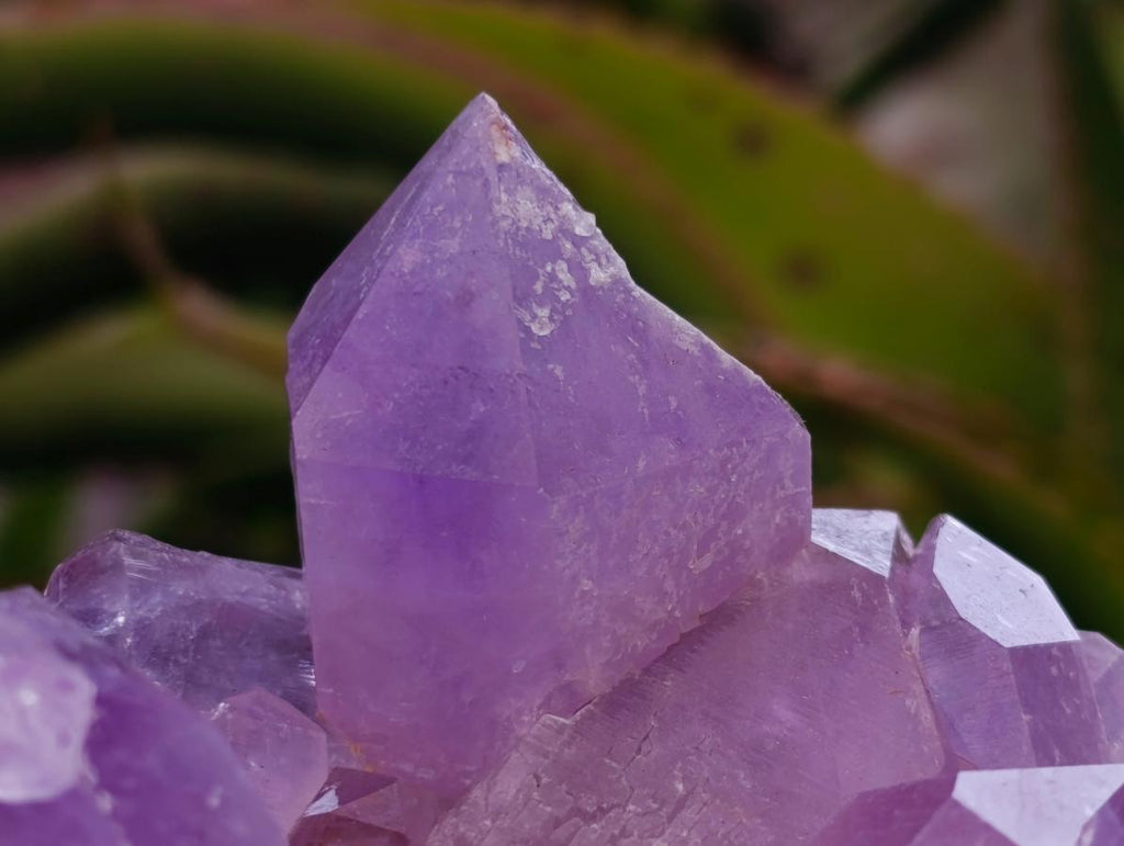 Natural Jacaranda Amethyst Crystal Clusters x 2 From Mumbwa, Zambia - Toprock Gemstones and Minerals 