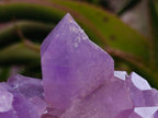 Natural Jacaranda Amethyst Crystal Clusters x 2 From Mumbwa, Zambia - Toprock Gemstones and Minerals 