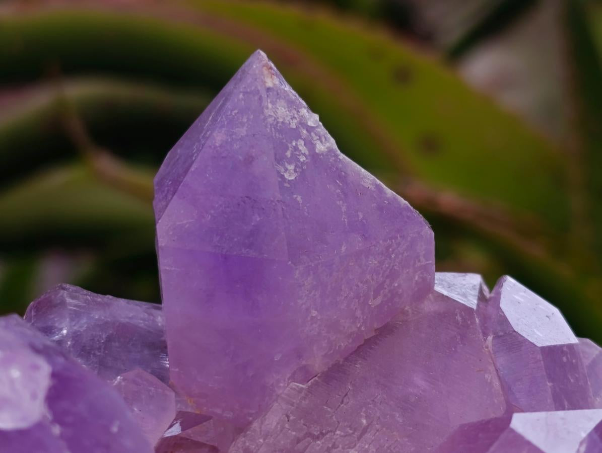 Natural Jacaranda Amethyst Crystal Clusters x 2 From Mumbwa, Zambia - Toprock Gemstones and Minerals 