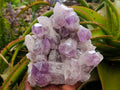 Natural Jacaranda Amethyst Crystal Clusters x 2 From Mumbwa, Zambia - Toprock Gemstones and Minerals 