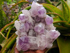 Natural Jacaranda Amethyst Crystal Clusters x 2 From Mumbwa, Zambia - Toprock Gemstones and Minerals 