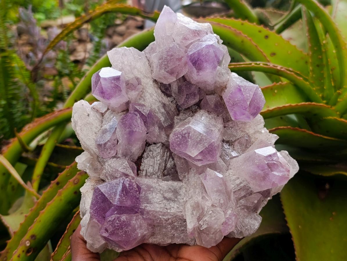 Natural Jacaranda Amethyst Crystal Clusters x 2 From Mumbwa, Zambia - Toprock Gemstones and Minerals 