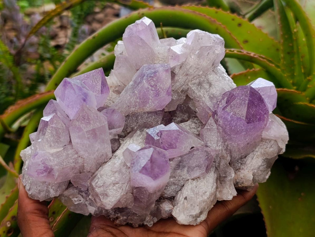 Natural Jacaranda Amethyst Crystal Clusters x 2 From Mumbwa, Zambia - Toprock Gemstones and Minerals 
