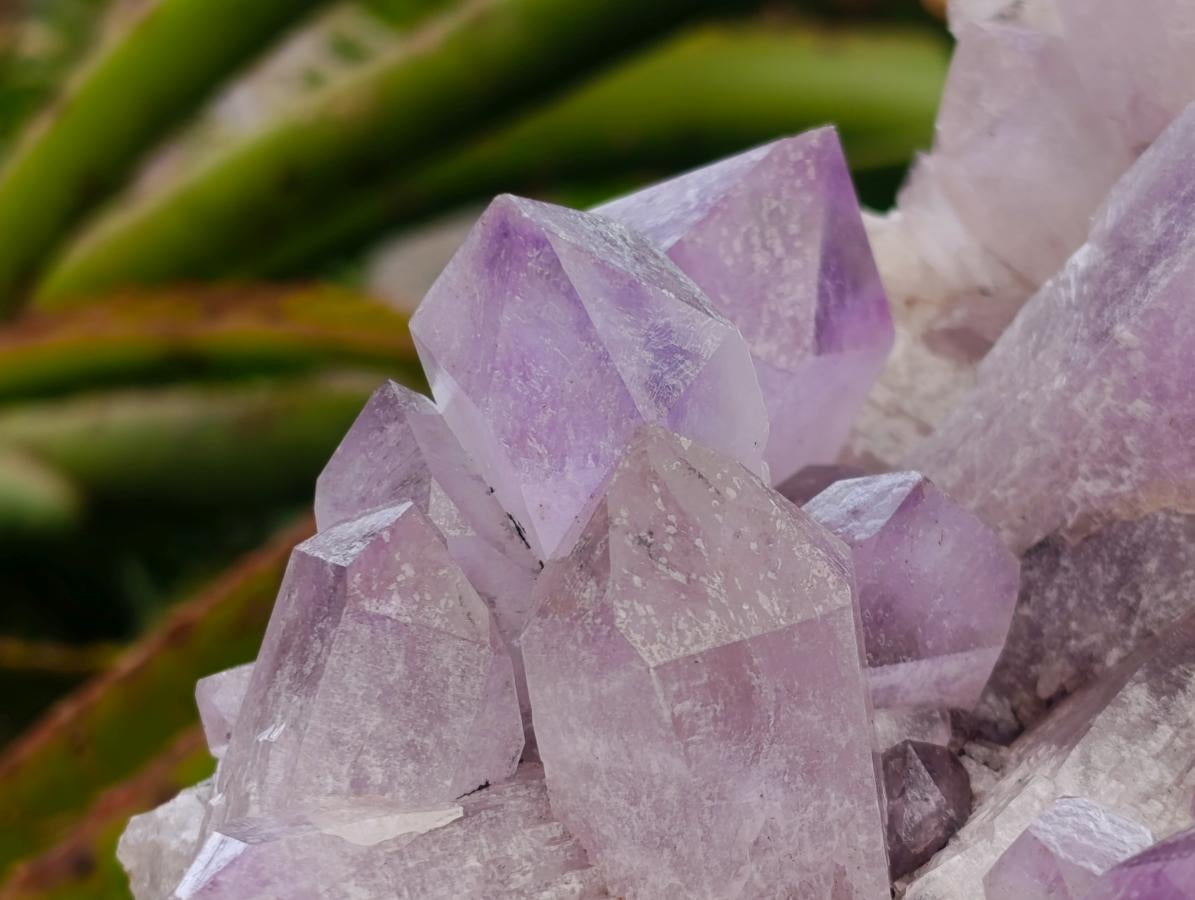 Natural Jacaranda Amethyst Crystal Clusters x 2 From Mumbwa, Zambia - Toprock Gemstones and Minerals 